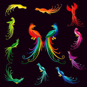 The colorful ethnic peacocks. The colored vintage birds of paradise with rainbow tailes.