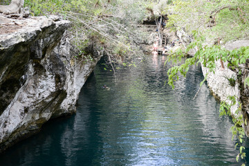 Forest with a cenote at Giron on Cuba