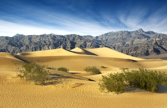 sand dunes in Death Valley National Park