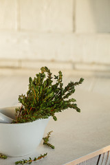 Mortar with Fresh Green Thyme on White background