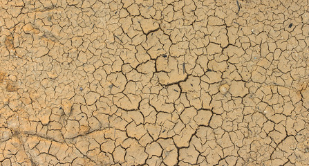 Closeup of dry soil texture