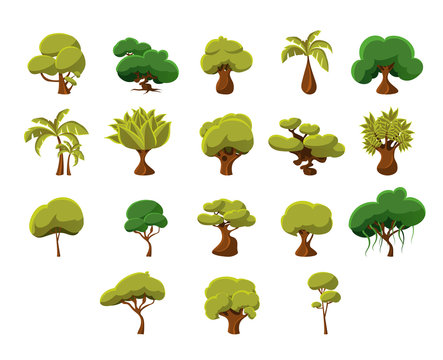 Tropical Trees Collection