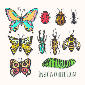 Colorful insects collection. Hand drawn set for icons, logo or print. Vector illustration