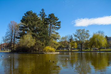 Obraz premium Park with lake