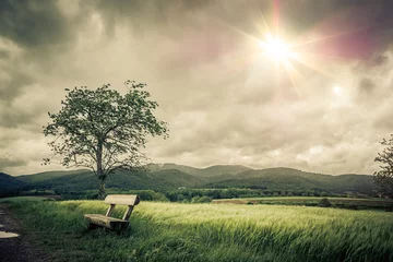 Wandaufkleber Ruhige und nostalgische Landschaft zum Meditieren © Chlorophylle