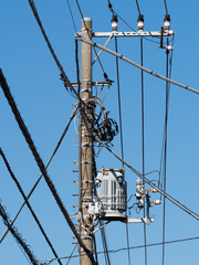 電線と電柱