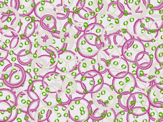 Onion fresh green white slices background