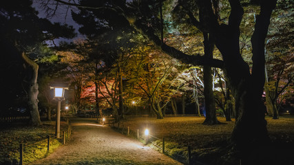 夜の庭園秋景色