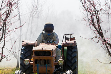 Farmer with tractor using a air blast sprayer