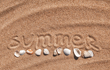 Summer background. Word summer and seashells on the sand