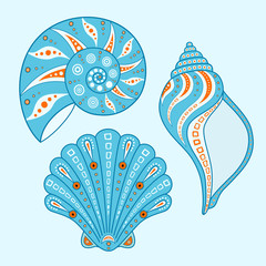 Collection of beach shells isolated on white background. Set of sea shells in a cartoon style. Vector illustration. Hand drawing.