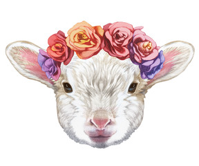 Portrait of Lamb with floral head wreath. Hand drawn illustration.