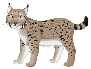 Naklejka premium Cartoon animal - lynx - isolated - illustration for children