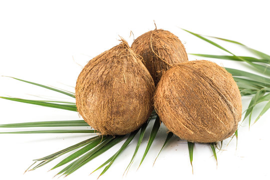 Whole coconuts with leaves on white