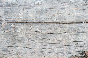 Naklejka premium the old wood surface, wood background, wood texture.