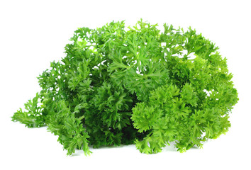 Parsley on white background