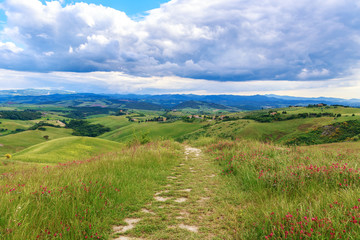 Fototapeta na wymiar Tuscan landscape, fields and meadows near Volterra