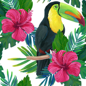 toucan, hibiscus, watercolor