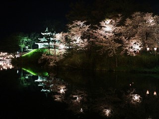 水面に浮かぶ夜桜と高田城（新潟県上越市）