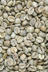 Green coffee bean background