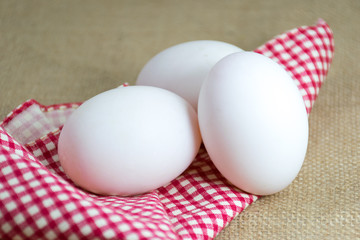 White eggs