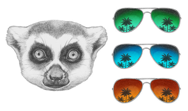 Portrait of Lemur with mirror sunglasses. Hand drawn illustration.