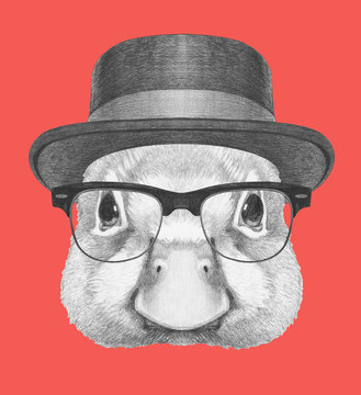 Portrait of Duck with hat and glasses. Hand drawn illustration.