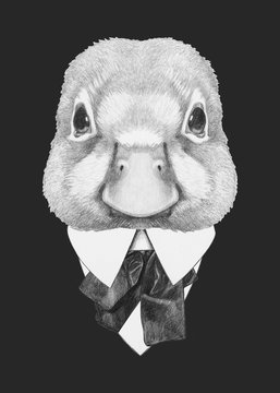 Portrait of Duck in suit. Hand drawn illustration.