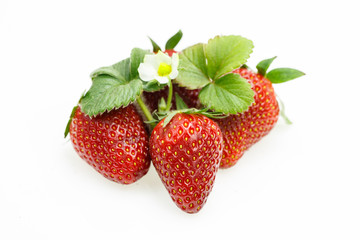 Bunch of strawberries with leaves and flower, on white background.