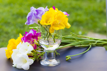 Beautiful flowers of freesia close up
