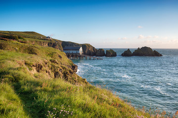 Summer at Long Cove