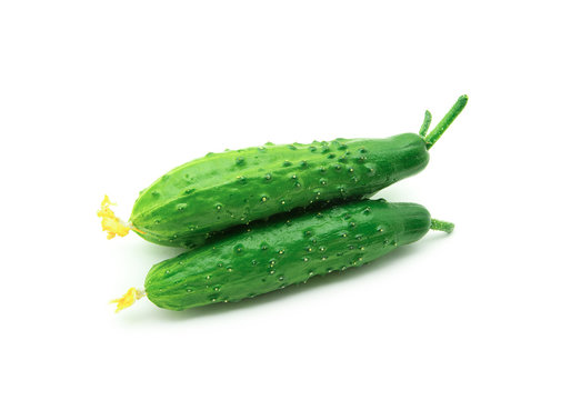 Ripe cucumbers isolated on a white background