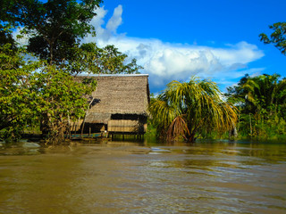 Hut on the Amazon river