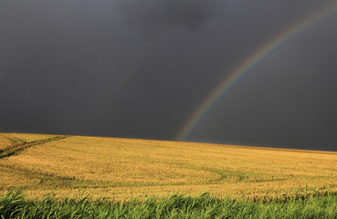 Wiosenna Tęcza  © Wojciech Lisiński
