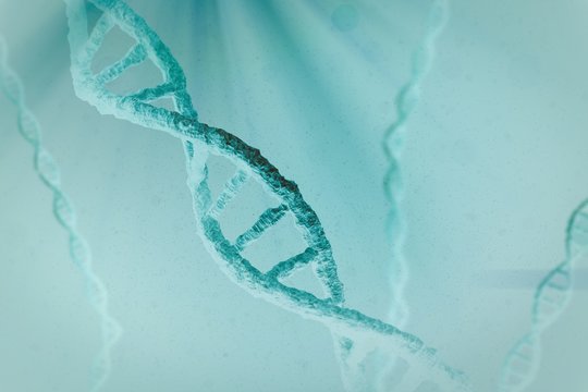 Composite image of view of dna