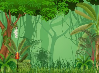 Illustration of forest background  © tigatelu