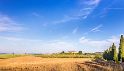Summer country landscape