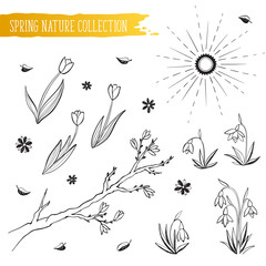 spring flowers collection