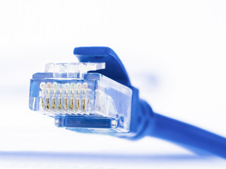 blue lan cable and connector on white background