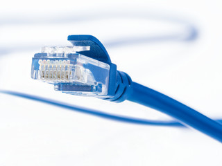 blue lan cable and connector on white