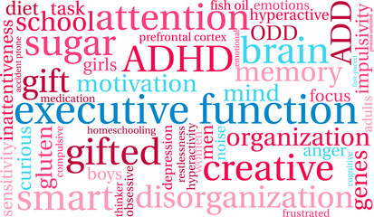 Executive Function word cloud on a white background. 