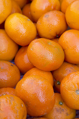 Satsuma Fruit in Basket