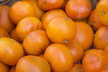 Satsuma Fruit in Basket