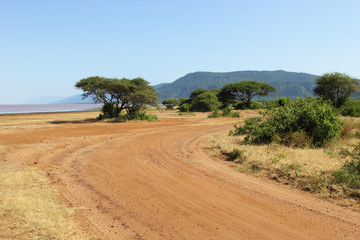Lake Manyara National Park, Tanzania