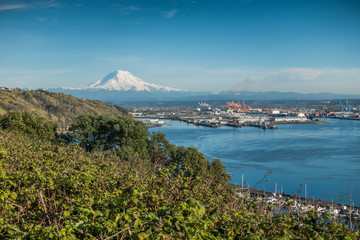 Mountain Port And Marina 6