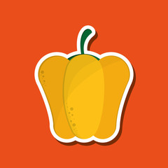 Organic shop design, vector illustration