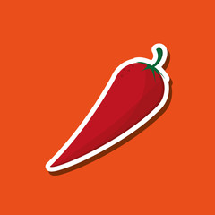 Organic shop design, vector illustration