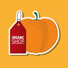 Organic shop design, vector illustration