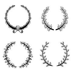 Floral ornament graphic design, vector illustration