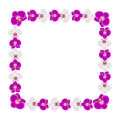 Fototapeta na wymiar Beautiful orchid flowers frame 